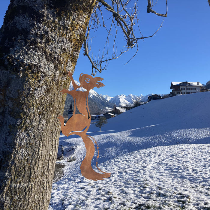 Eichhörnchnen klettert im Winter