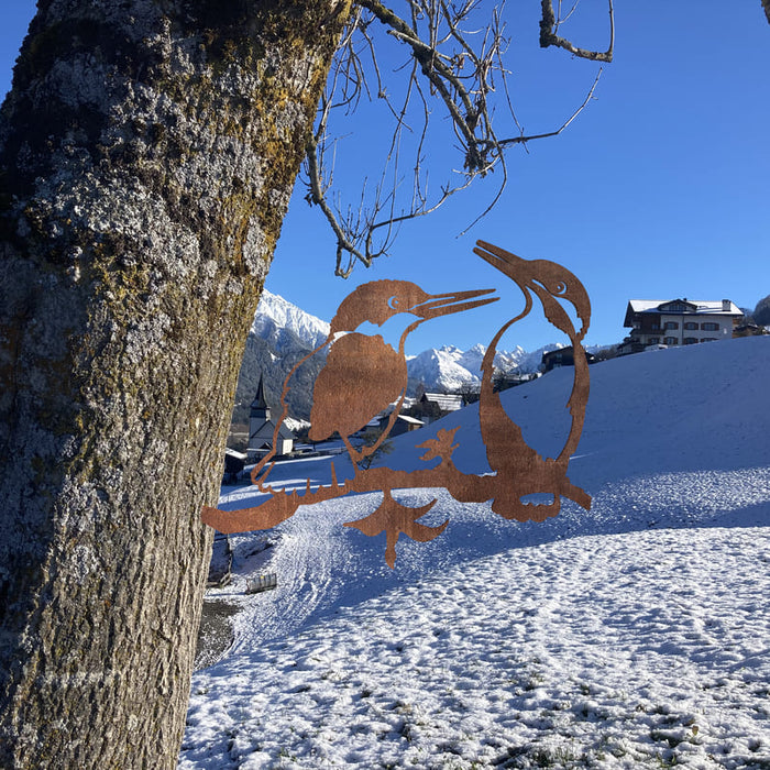 Zwei gerostete Eisvögel geniessen den Winter